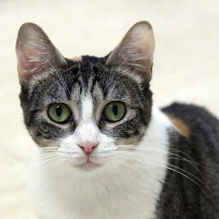 multimedia-foto36121-558-3