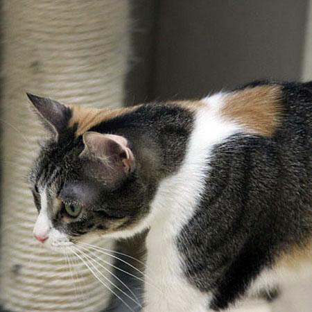 multimedia-foto36122-778-3