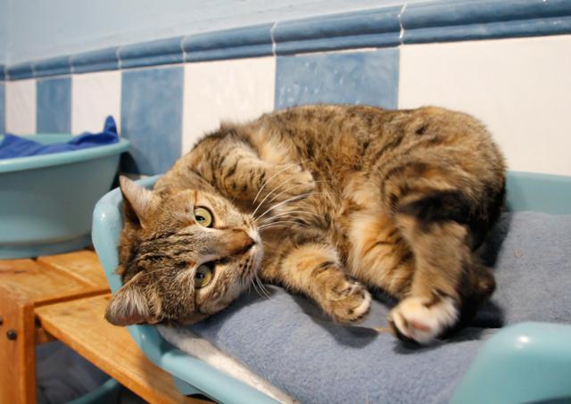 multimedia-foto36141-6-3