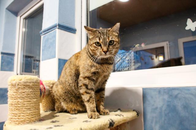 multimedia-foto36144-538-3