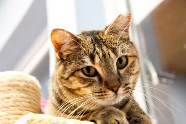 multimedia-foto36145-675-3