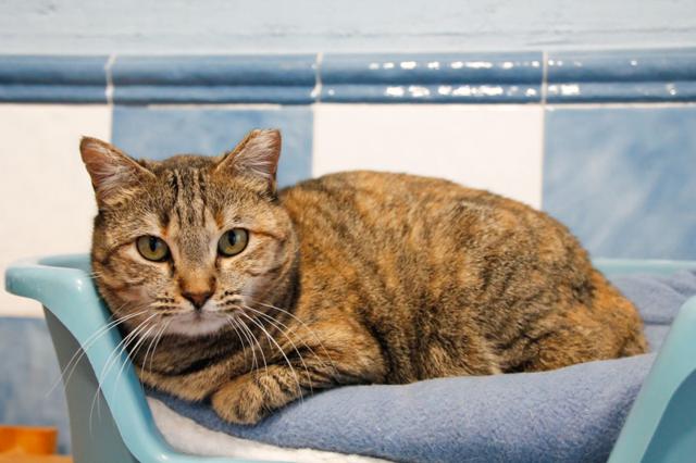 multimedia-foto36146-792-3