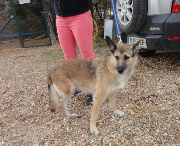 multimedia-foto36214-419-3