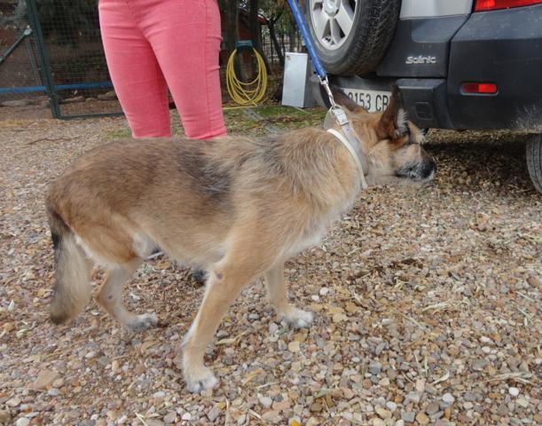 multimedia-foto36215-643-3