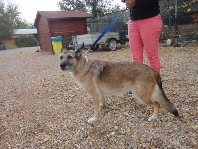 multimedia-foto36216-858-3