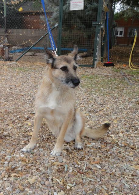 multimedia-foto36217-60-3