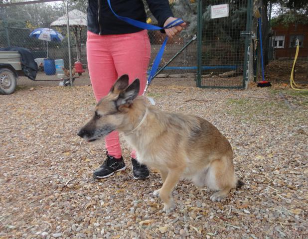 multimedia-foto36218-254-3