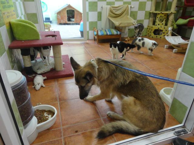 multimedia-foto36219-426-3