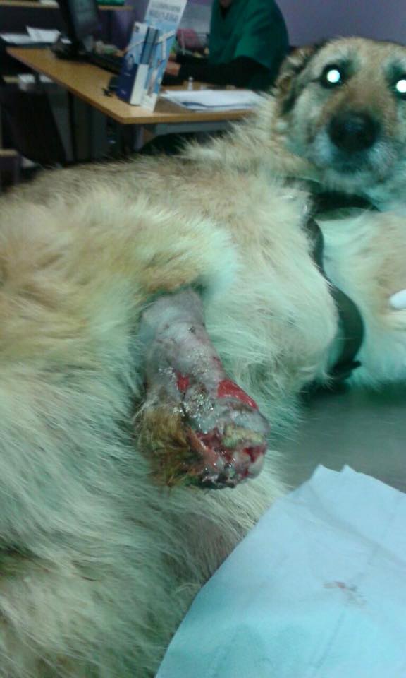 multimedia-foto36221-710-3