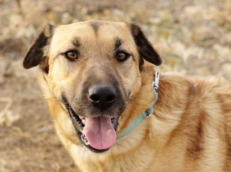 multimedia-foto36223-425-3