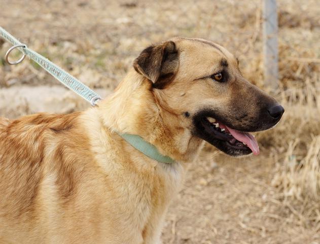 multimedia-foto36224-649-3