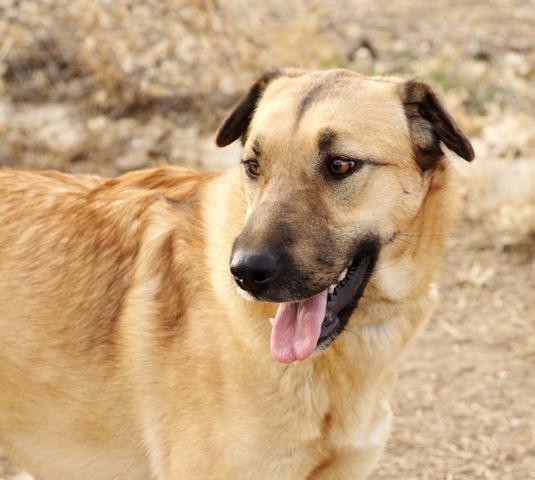 multimedia-foto36225-863-3