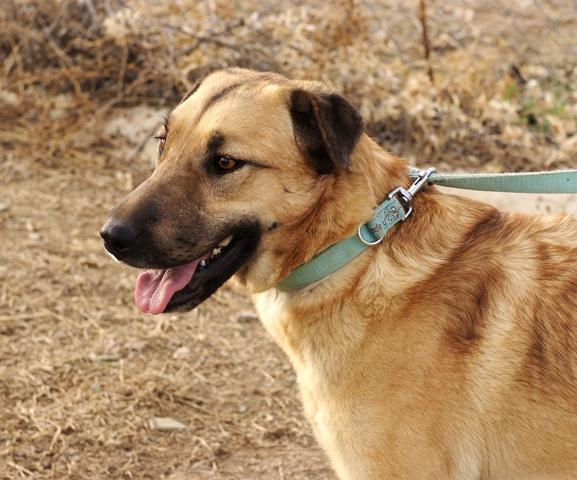 multimedia-foto36226-65-3