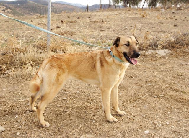 multimedia-foto36227-260-3