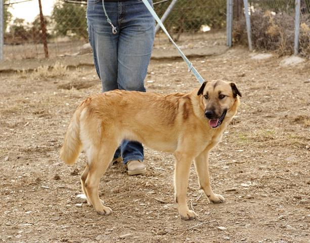 multimedia-foto36228-430-3