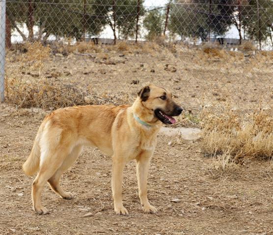 multimedia-foto36229-584-3