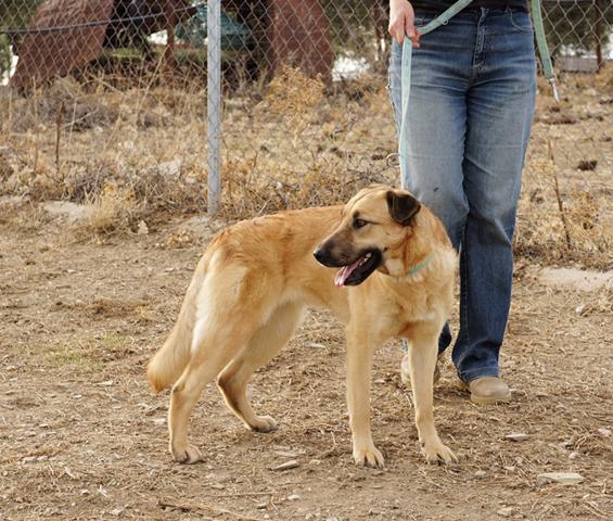 multimedia-foto36230-713-3