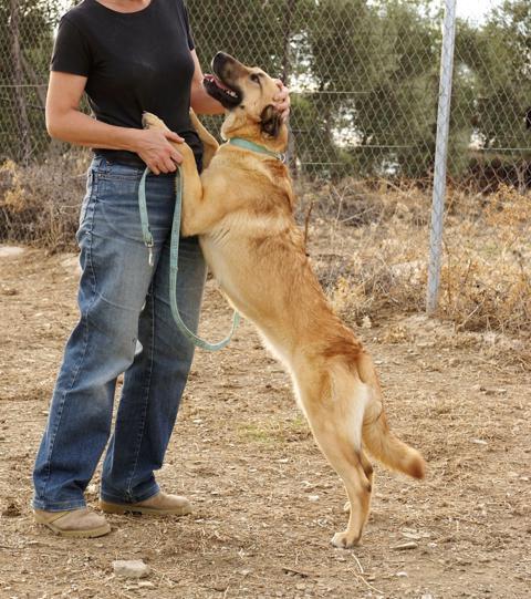 multimedia-foto36231-824-3