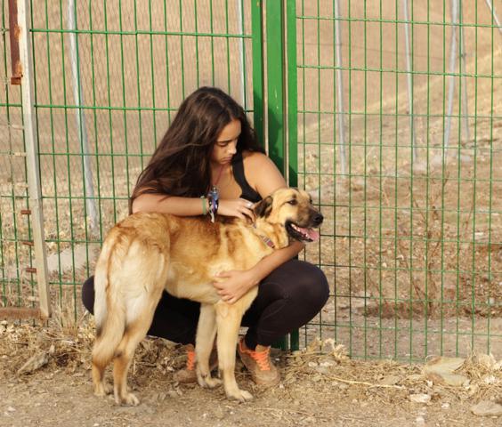 multimedia-foto36232-896-3