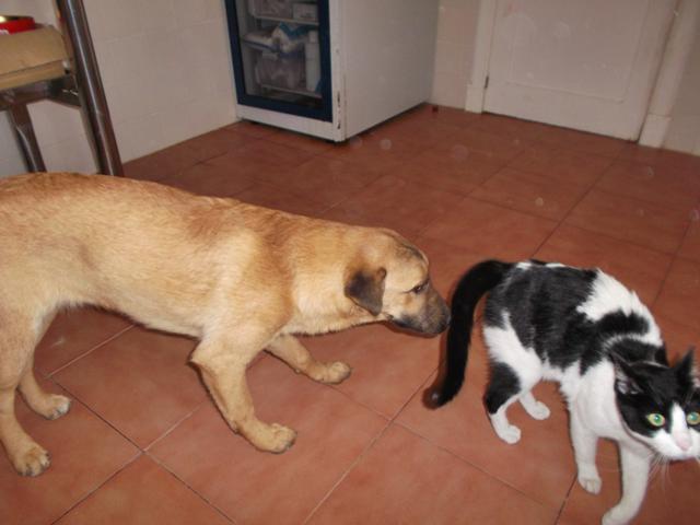 multimedia-foto36233-944-3