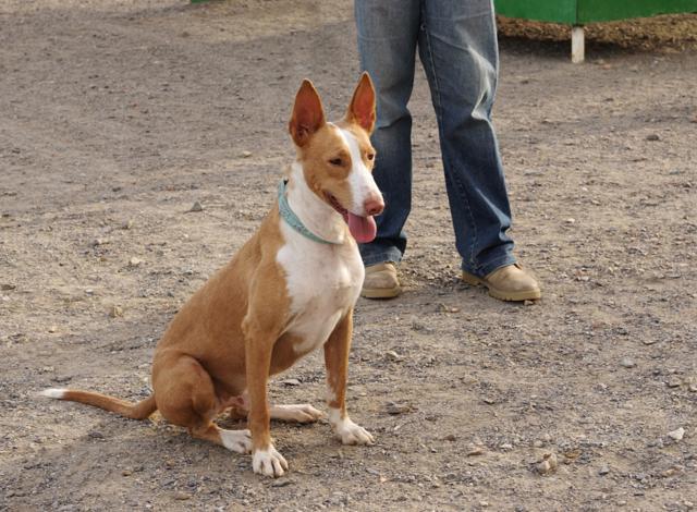 multimedia-foto36234-433-3