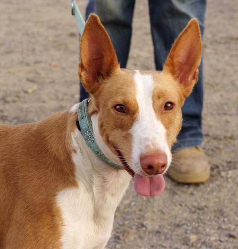 multimedia-foto36235-657-3