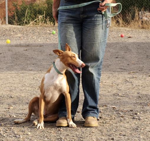 multimedia-foto36237-73-3