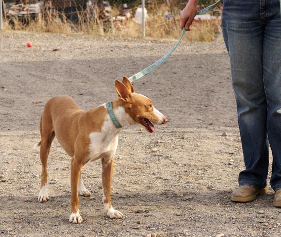 multimedia-foto36238-267-3