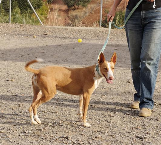 multimedia-foto36239-437-3