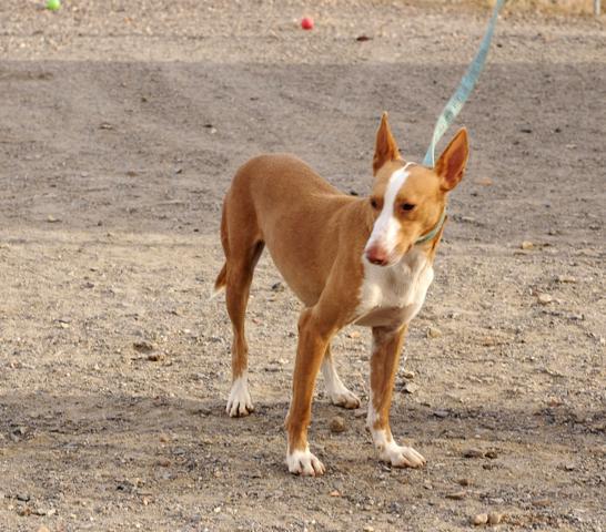 multimedia-foto36240-589-3