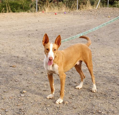 multimedia-foto36241-719-3