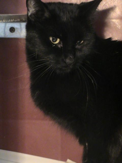 multimedia-foto36244-665-3