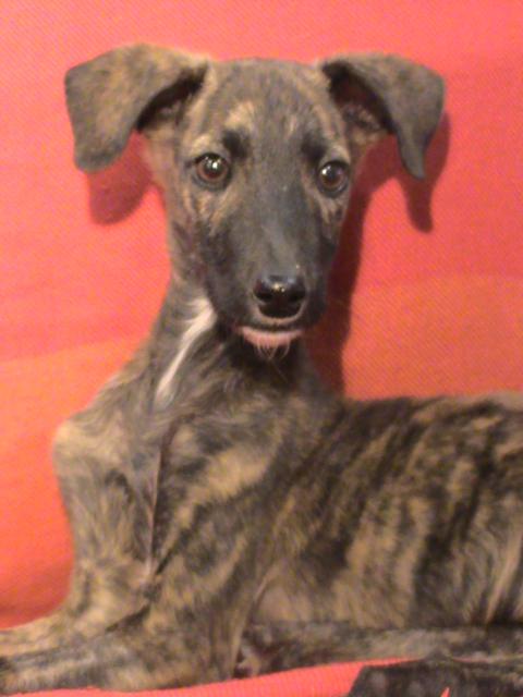 multimedia-foto36249-669-3