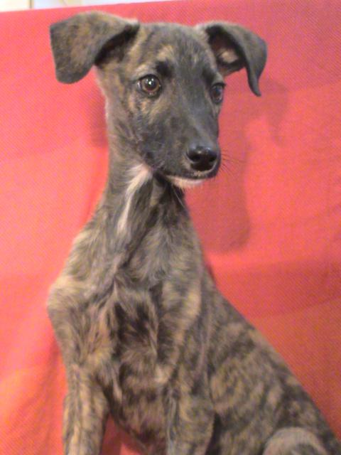 multimedia-foto36250-882-3