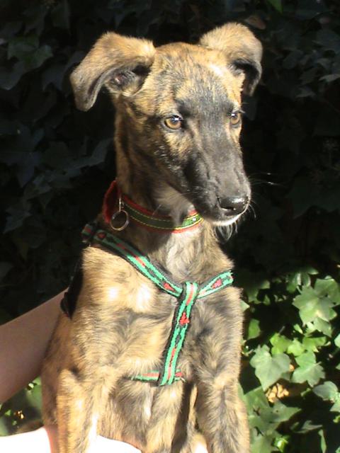 multimedia-foto36253-446-3