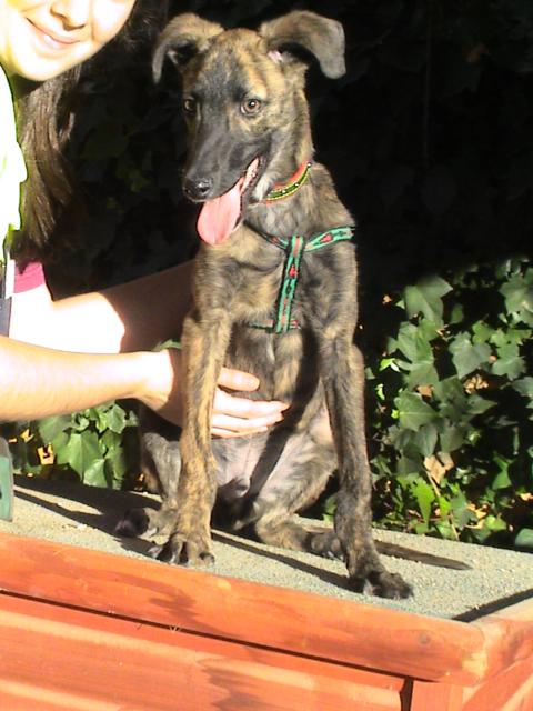 multimedia-foto36254-597-3