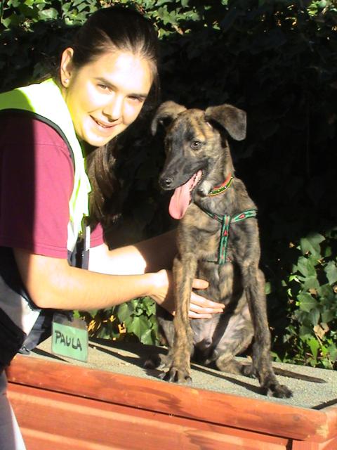 multimedia-foto36255-724-3