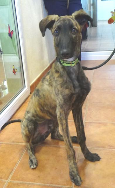 multimedia-foto36257-902-3