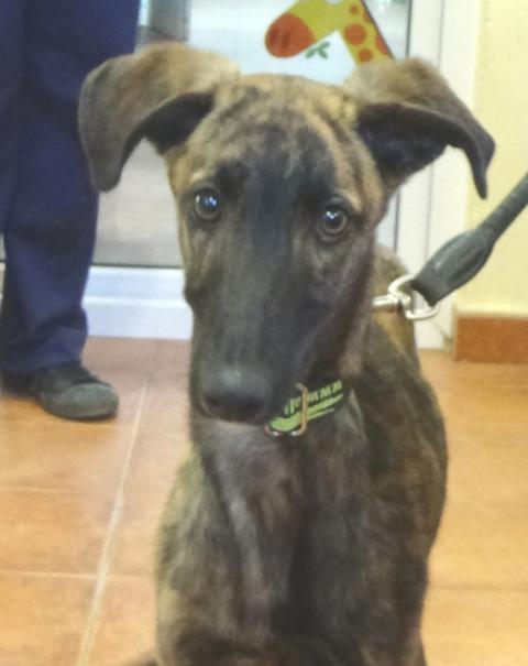 multimedia-foto36258-948-3