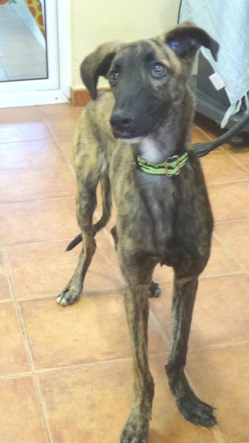 multimedia-foto36259-990-3