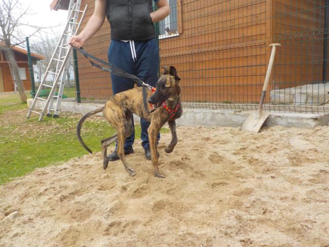 multimedia-foto36261-55-3