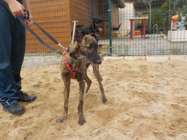 multimedia-foto36262-81-3