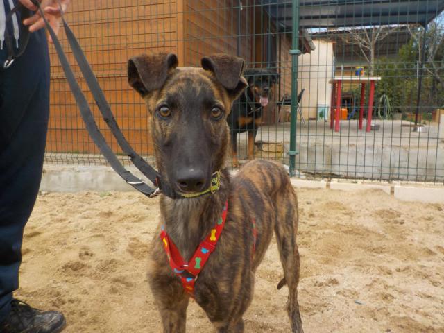 multimedia-foto36263-102-3