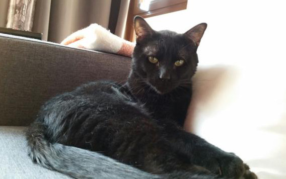 multimedia-foto36269-684-3