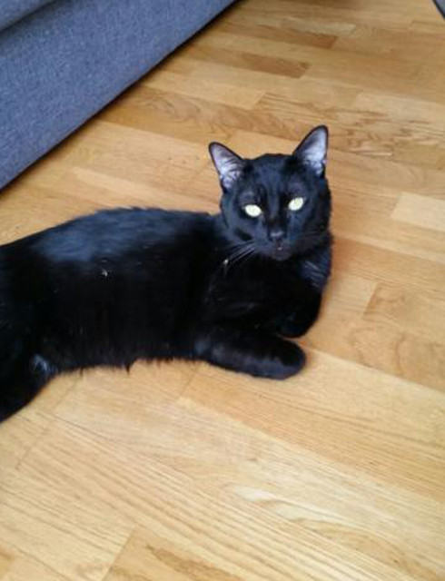 multimedia-foto36270-899-3