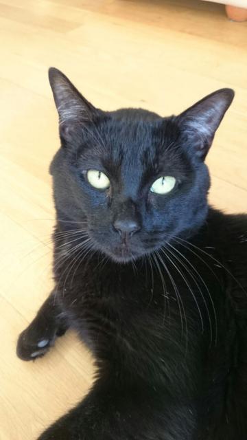 multimedia-foto36272-289-3