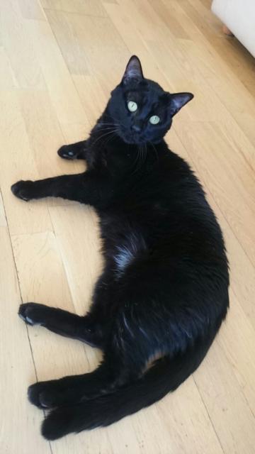 multimedia-foto36273-457-3