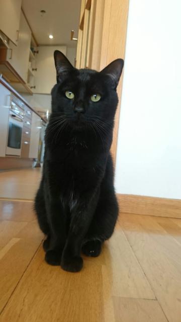 multimedia-foto36274-607-3