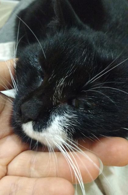 multimedia-foto36278-692-3