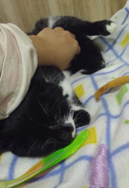 multimedia-foto36279-907-3